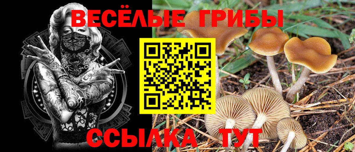 Северодвинск  Псилоцибиновые грибы мицелий  цена   Вход с VPN 