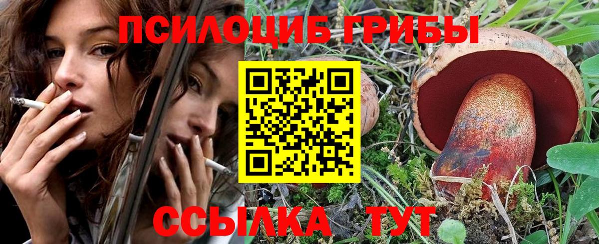 Псилоцибиновые грибы мухоморы Северодвинск